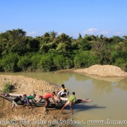 Ratargul Swamp Forest_30